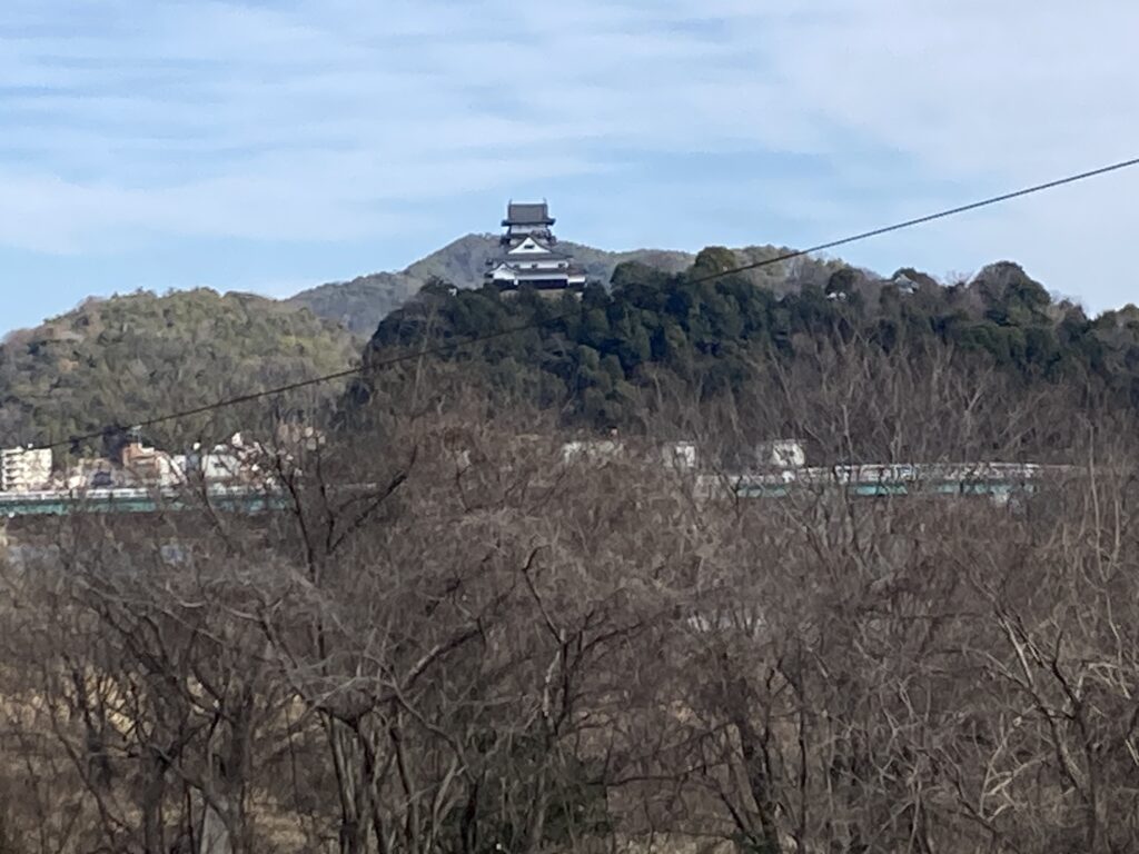 伊木山フォレストから見た犬山城