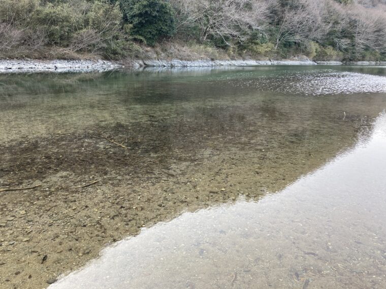 櫛田川の清流